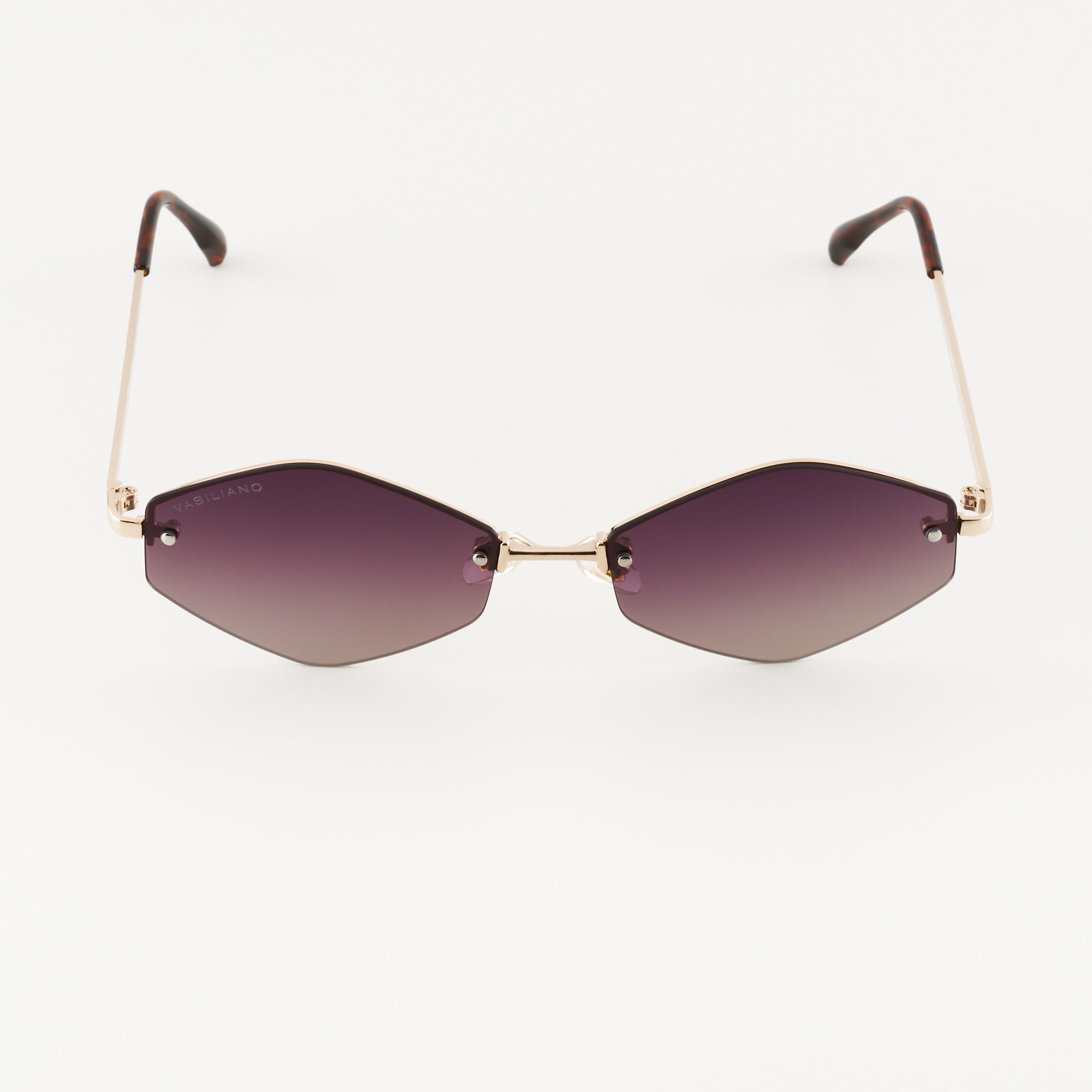 Ochelari de soare Siena L Polarized la preț redus
